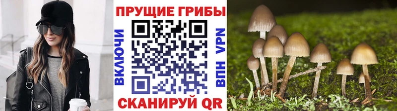 Купить  Малоархангельск  Псилоцибиновые грибы Magic Shrooms 